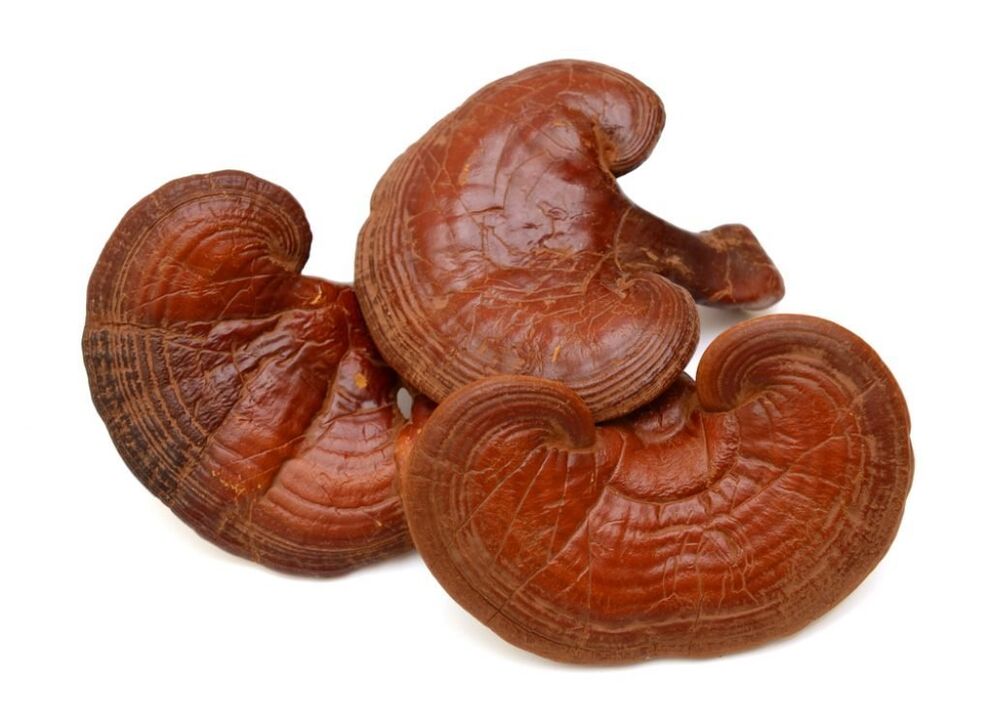 Ganoderma in Prostamine capsules